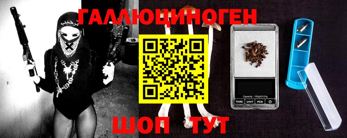 Галлюциногенные грибы Psilocybine cubensis Озёрск