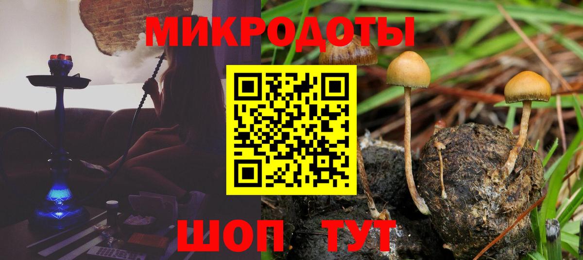 Галлюциногенные грибы Cubensis  Вход с VPN  Озёрск 